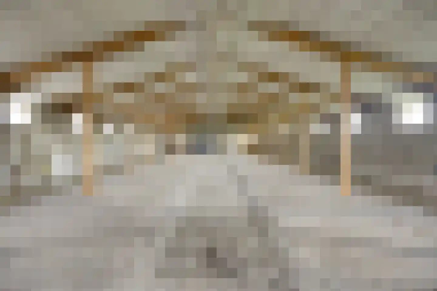 Kalkestraat 49 Dodewaard thumbnail 49