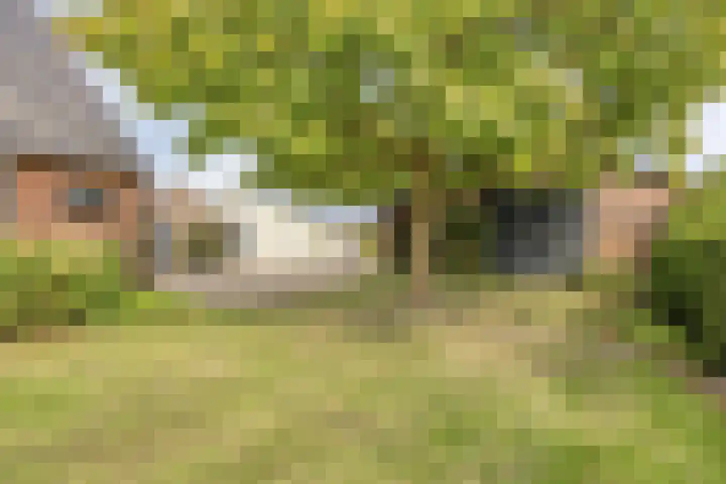 Kalkestraat 49 Dodewaard thumbnail 5