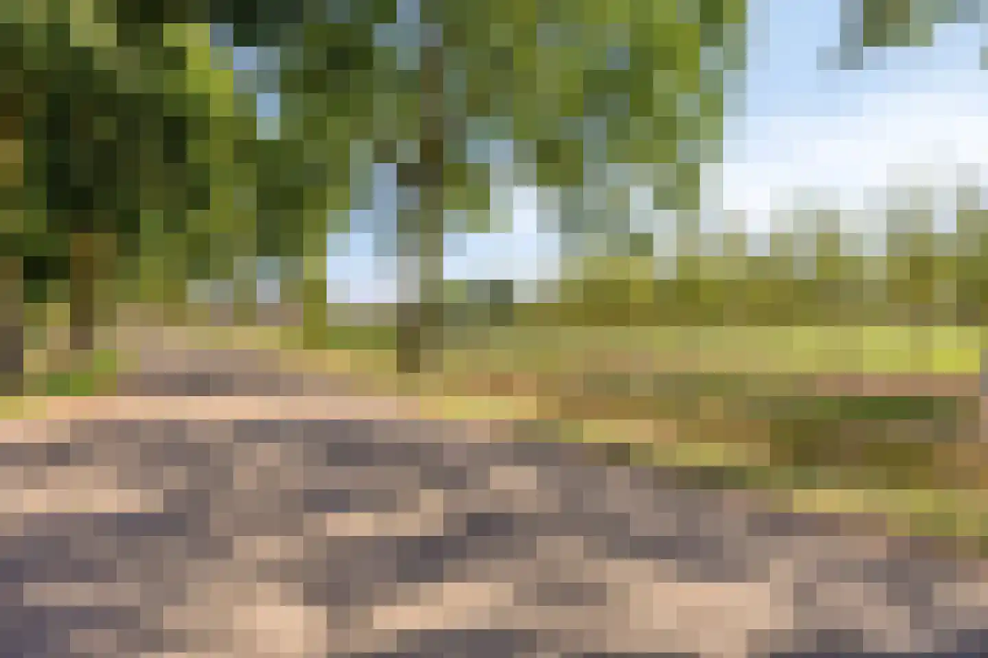 Kalkestraat 49 Dodewaard thumbnail 50