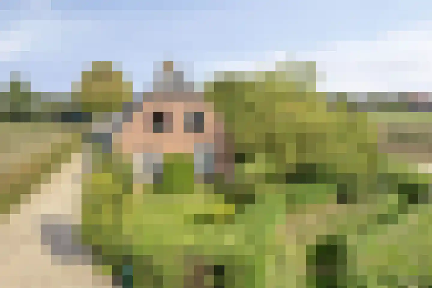 Kalkestraat 49 Dodewaard thumbnail 53