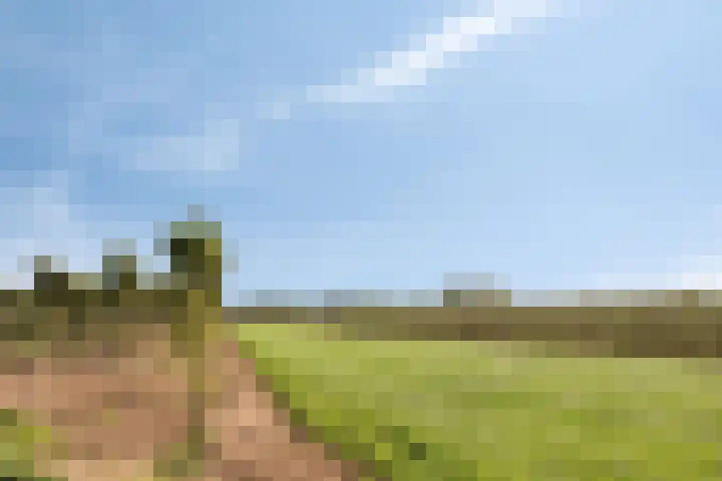 Kalkestraat 49 Dodewaard thumbnail 54