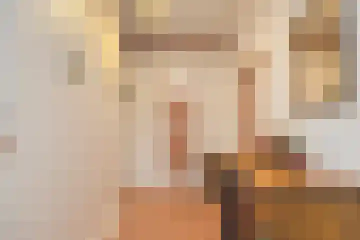 Kalkestraat 50 Dodewaard thumbnail 30