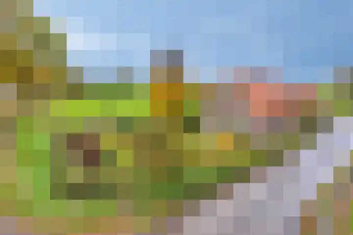Kalkestraat 50 Dodewaard thumbnail 44