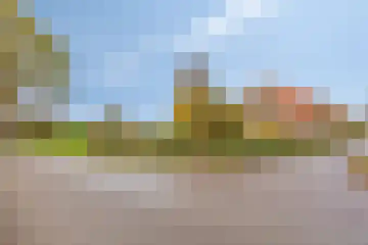 Kalkestraat 50 Dodewaard thumbnail 5