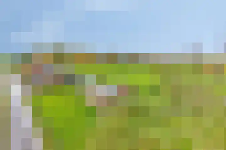 Kalkestraat 50 Dodewaard thumbnail 50