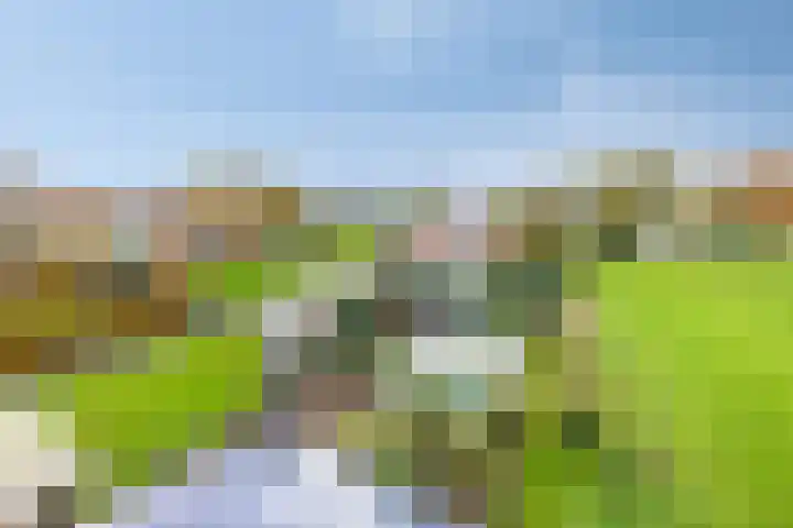Kalkestraat 50 Dodewaard thumbnail 51