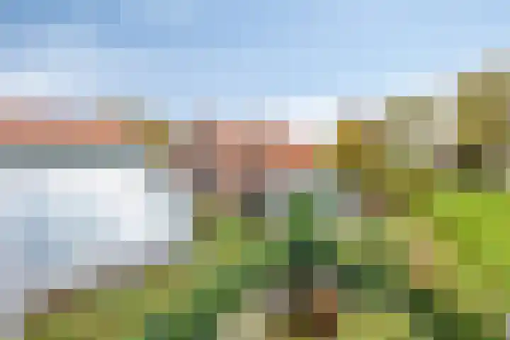 Kalkestraat 50 Dodewaard thumbnail 52