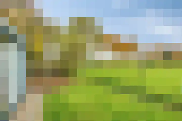 Kalkestraat 50 Dodewaard thumbnail 55