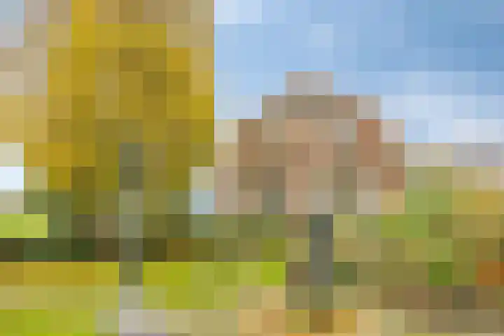Kalkestraat 50 Dodewaard thumbnail 57