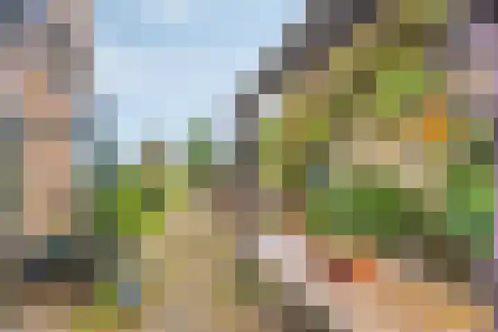 Kalkestraat 50 Dodewaard thumbnail 60