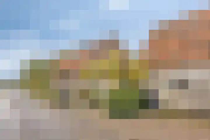 Kalkestraat 50 Dodewaard thumbnail 62