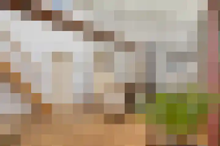 Kalkestraat 50 Dodewaard thumbnail 66