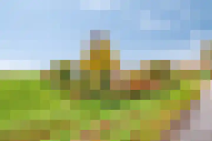 Kalkestraat 50 Dodewaard thumbnail 7