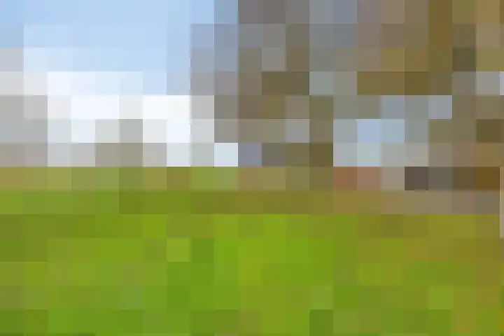 Kalkestraat 50 Dodewaard thumbnail 72