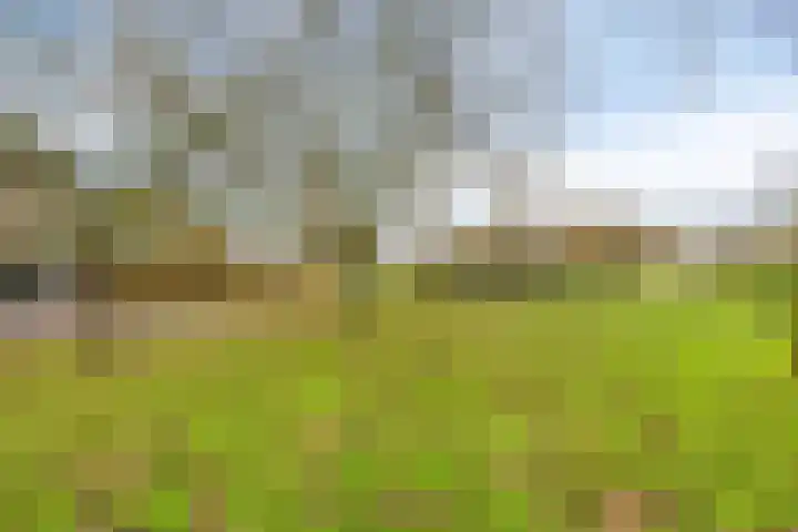 Kalkestraat 50 Dodewaard thumbnail 73