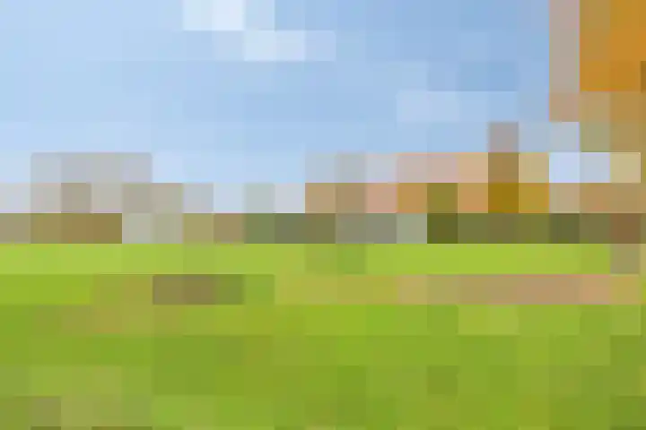 Kalkestraat 50 Dodewaard thumbnail 8