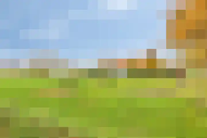 Kalkestraat 50 Dodewaard thumbnail 9