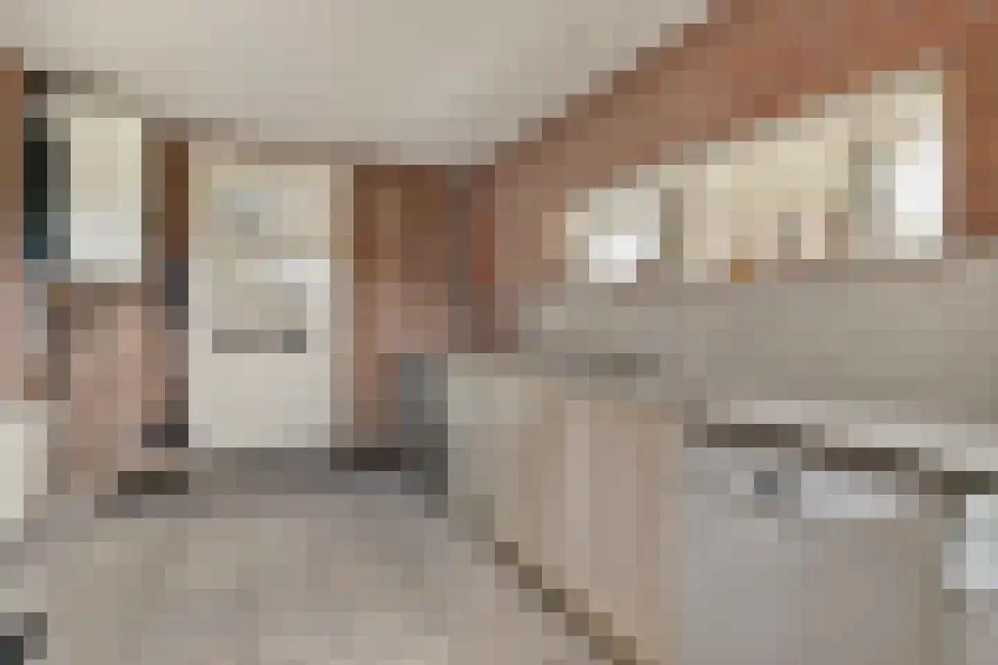 Kalkestraat 67 Dodewaard thumbnail 14