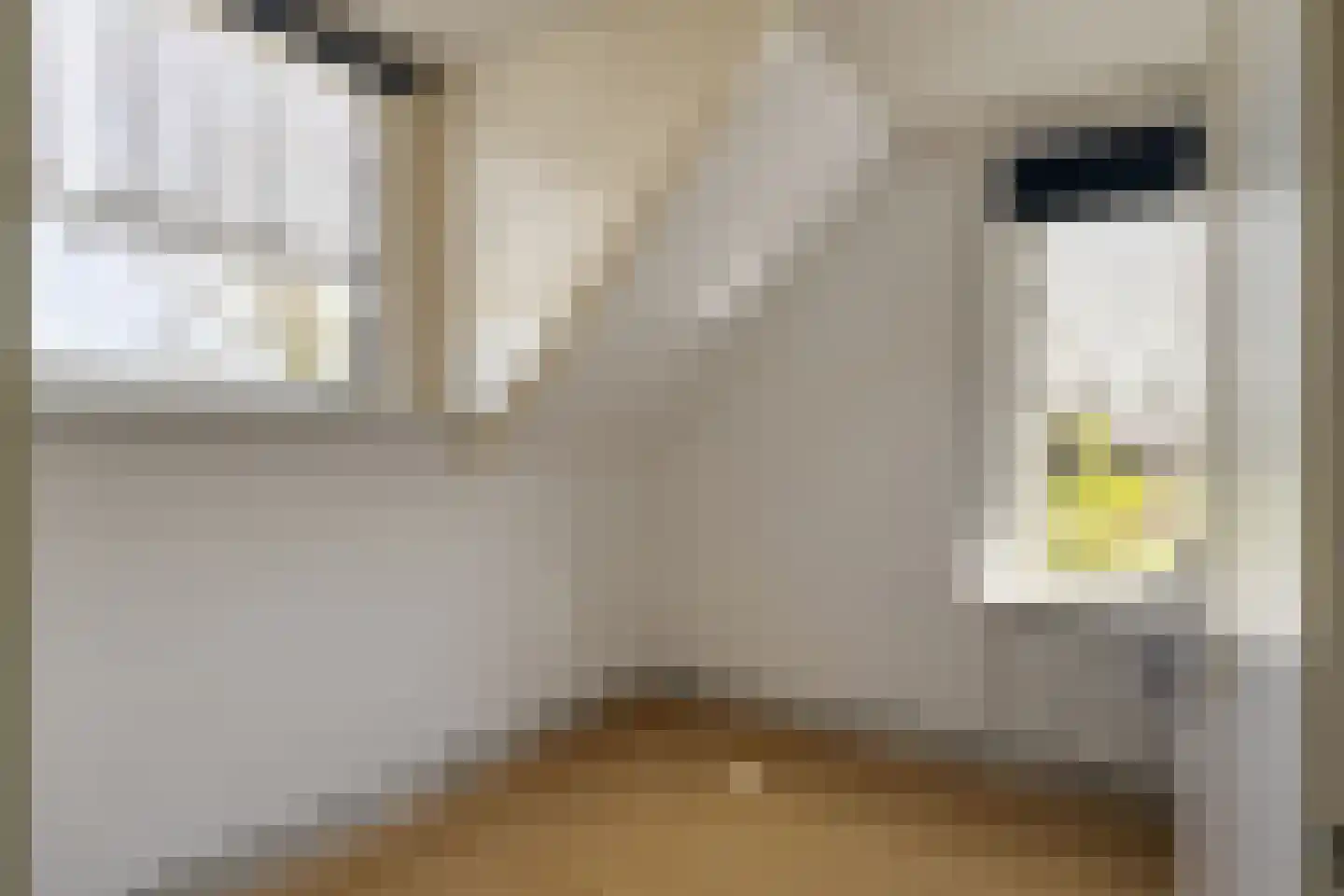 Kalkestraat 67 Dodewaard thumbnail 23