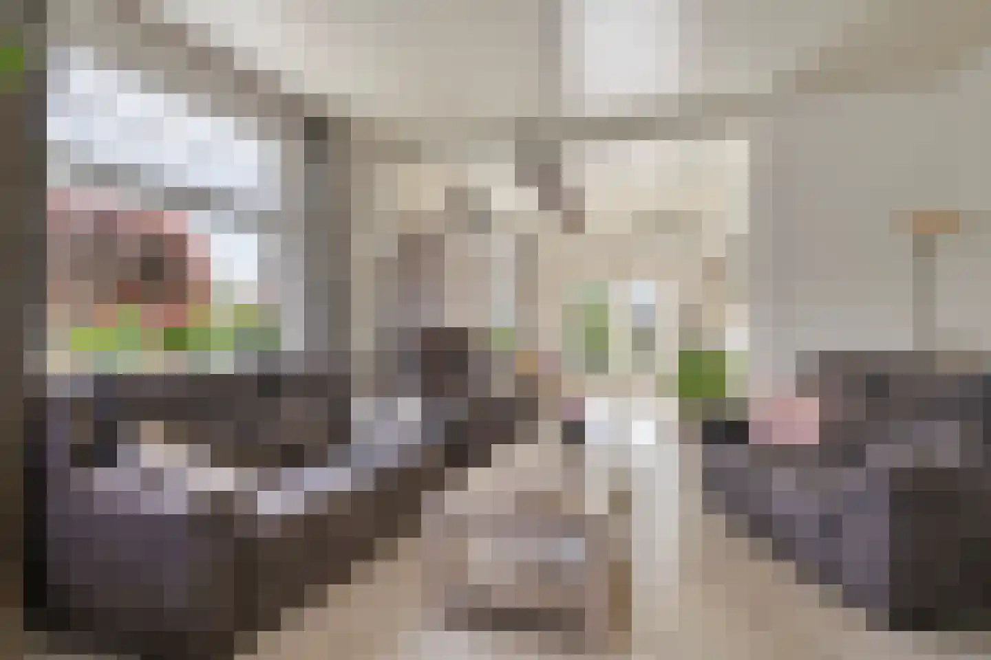 Kalkestraat 67 Dodewaard thumbnail 5