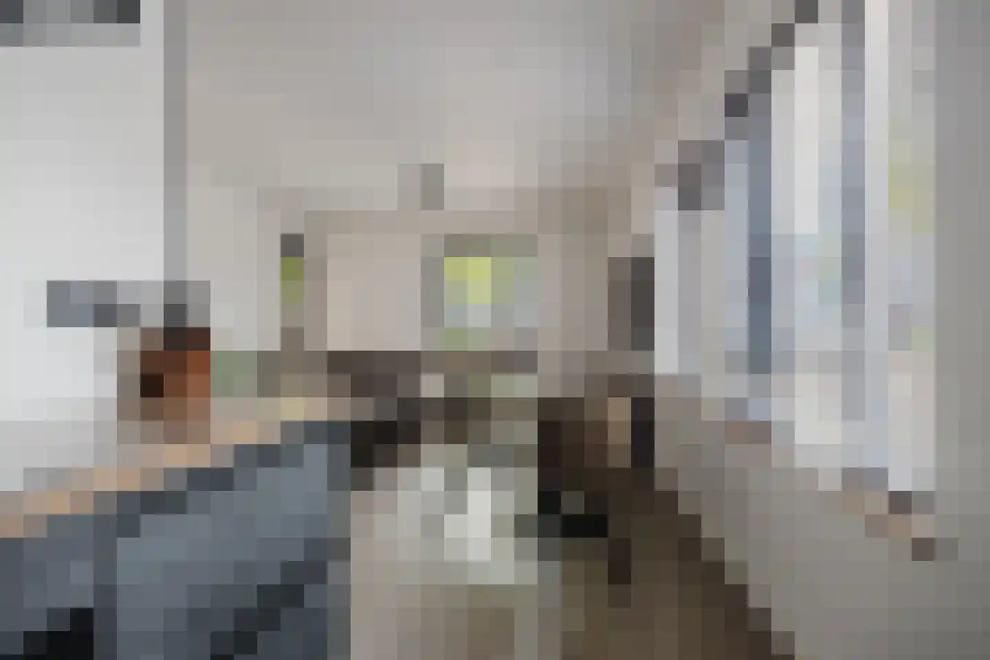Kalkhaven 80 Gorinchem thumbnail 7