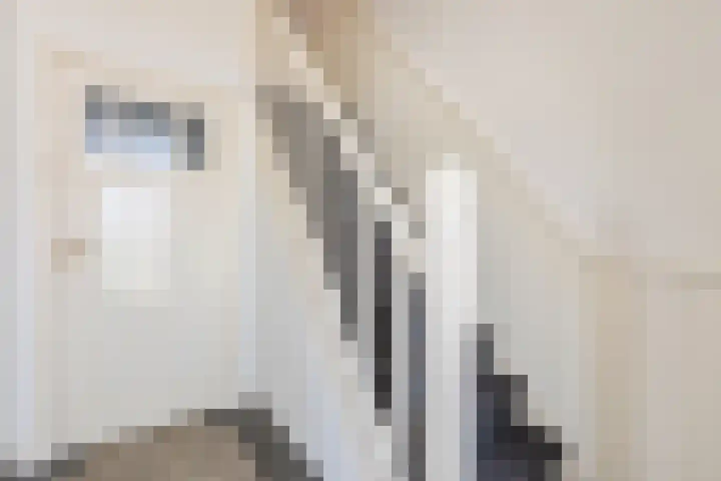 Kalkhofseweg 26 Haps thumbnail 6