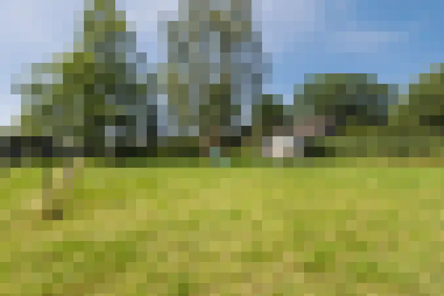 Kalkhofseweg 43 Haps thumbnail 33
