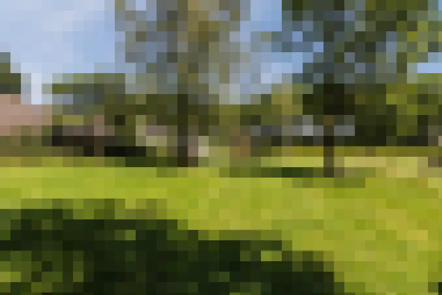 Kalkhofseweg 43 Haps thumbnail 34