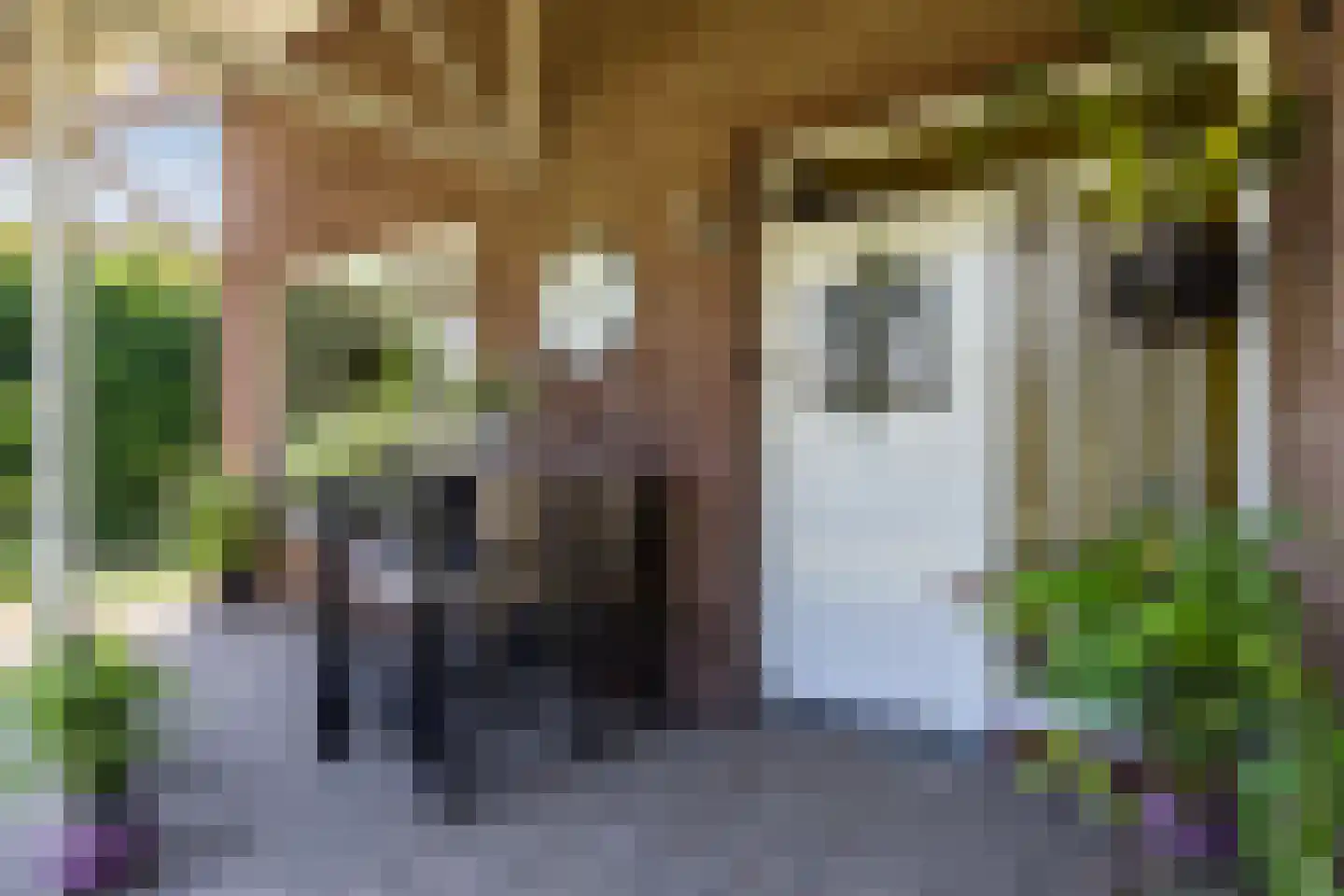 Kalkhofseweg 43 Haps thumbnail 7