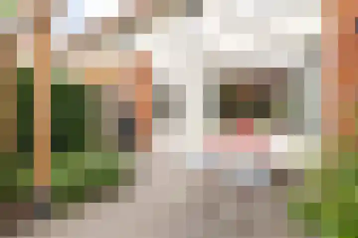 Kalkhovensingel 14 Culemborg thumbnail 15
