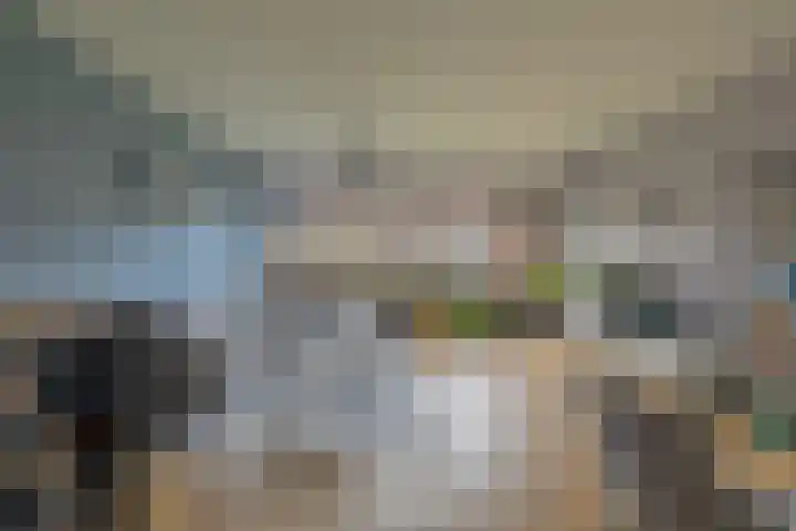 Kalkoensprenk 18 Vlissingen thumbnail 10