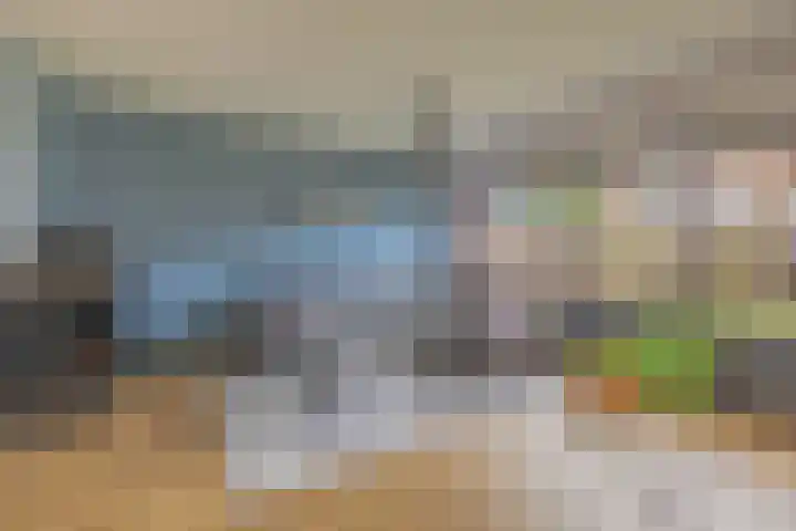 Kalkoensprenk 18 Vlissingen thumbnail 11