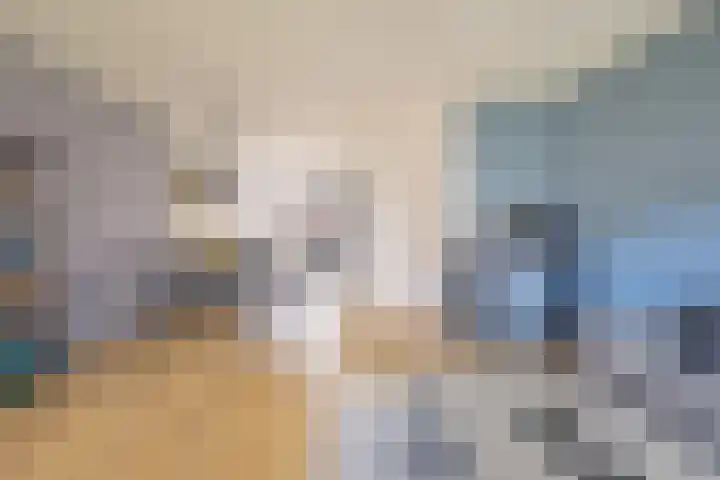 Kalkoensprenk 18 Vlissingen thumbnail 13