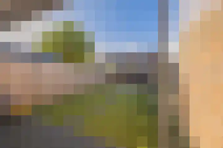 Kalkoensprenk 18 Vlissingen thumbnail 19