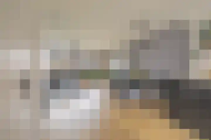 Kalkoensprenk 18 Vlissingen thumbnail 8