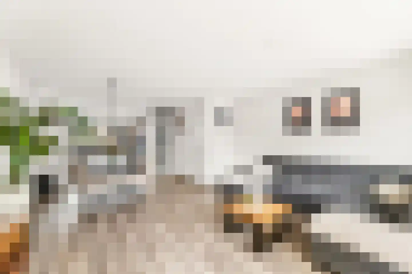 Kalkoensprenk 39 Vlissingen thumbnail 16