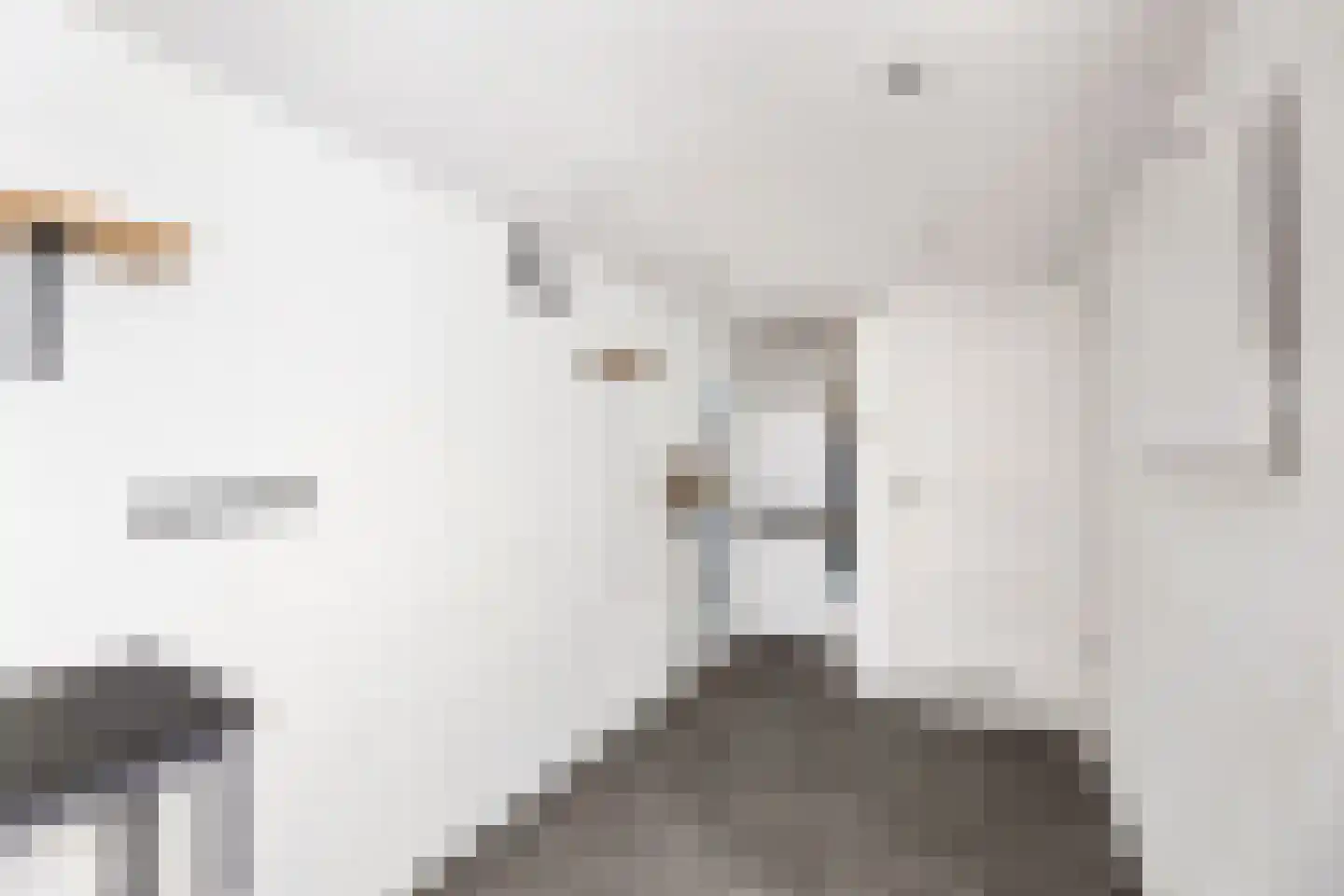 Kalkoensprenk 39 Vlissingen thumbnail 35