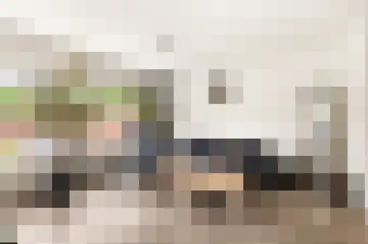 Kalkoensprenk 57 Vlissingen thumbnail 12