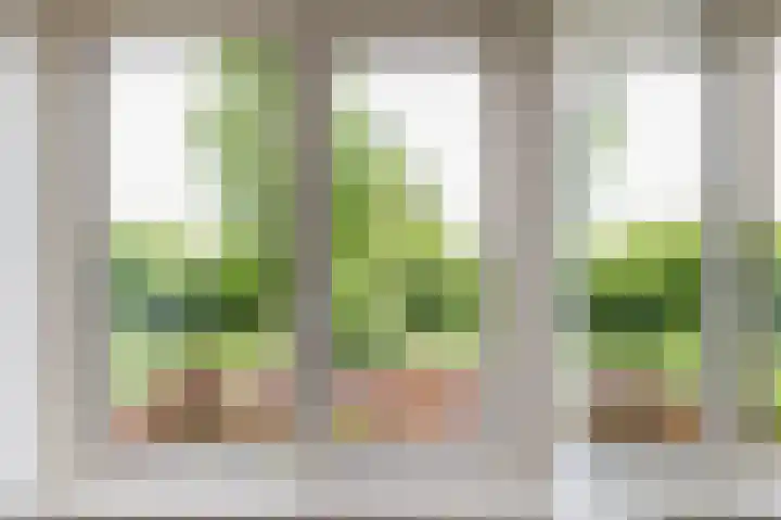 Kalkoensprenk 57 Vlissingen thumbnail 19
