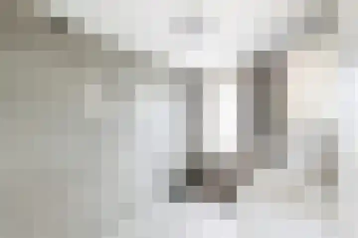 Kalkoensprenk 57 Vlissingen thumbnail 22