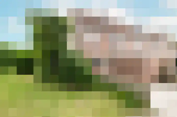Kalkoensprenk 57 Vlissingen thumbnail 36
