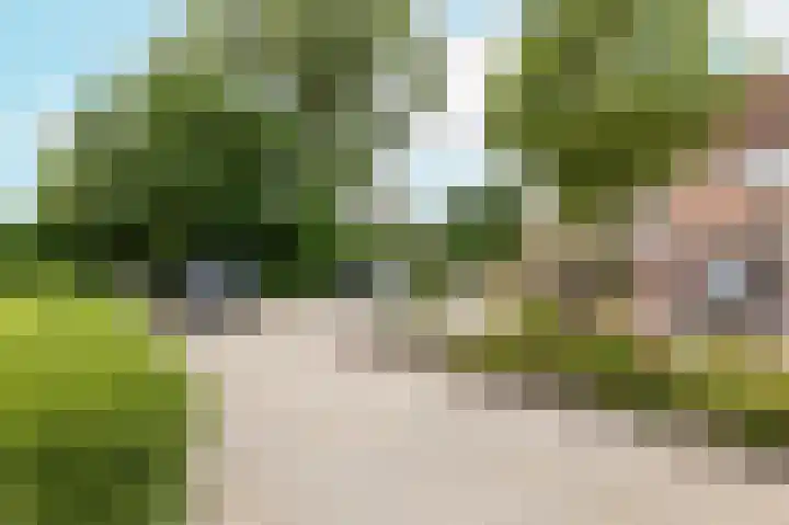 Kalkoensprenk 57 Vlissingen thumbnail 4
