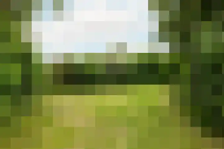 Kalkoensprenk 57 Vlissingen thumbnail 6