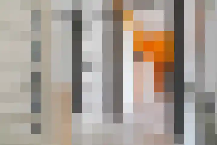 Kalkoensprenk 81 Vlissingen thumbnail 13