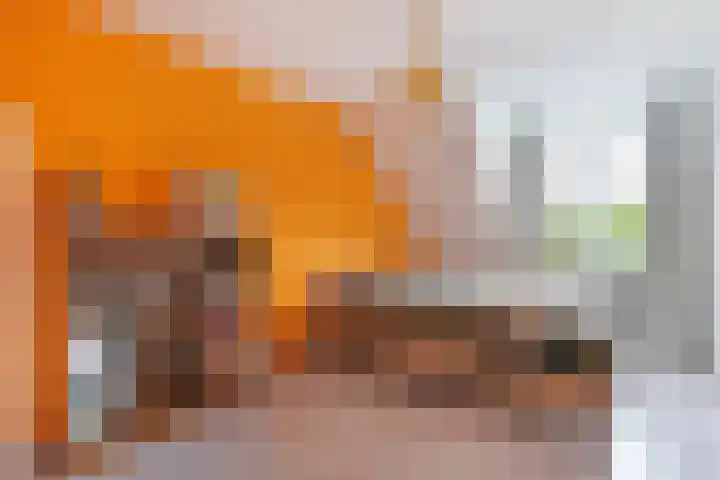 Kalkoensprenk 81 Vlissingen thumbnail 14
