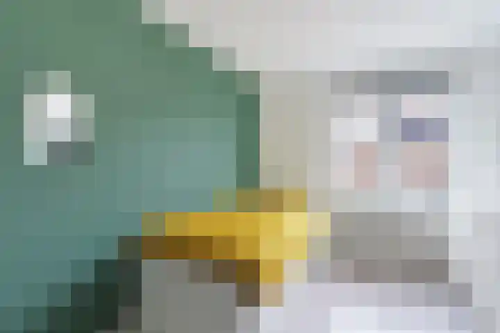 Kalkoensprenk 81 Vlissingen thumbnail 15