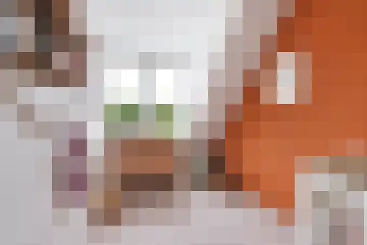 Kalkoensprenk 81 Vlissingen thumbnail 16