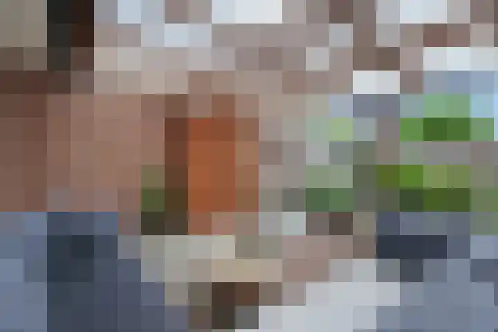 Kalkoensprenk 81 Vlissingen thumbnail 23