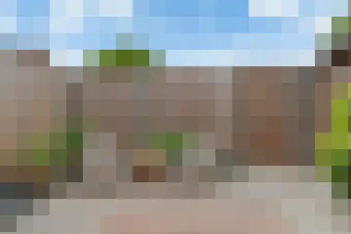 Kalkoensprenk 81 Vlissingen thumbnail 26
