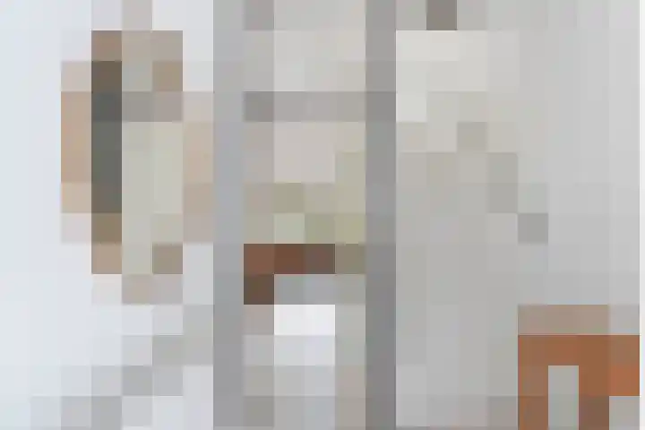 Kalkoensprenk 81 Vlissingen thumbnail 5